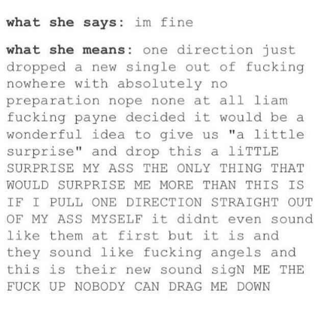 gardenofharry's tweet photo. ok but this is me 
#MTVHottest One Direction http://t.co/YKaiADrDVT