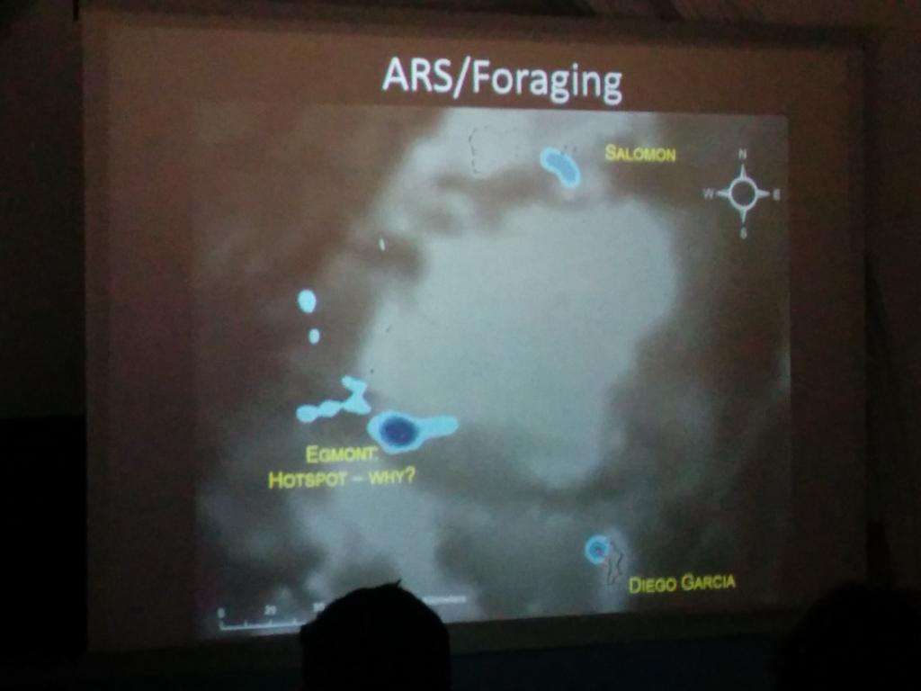 Manta Trust tweet media