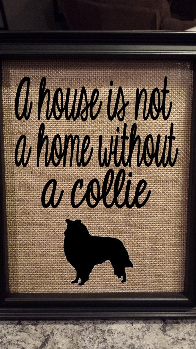 DideschDelights's tweet image. Framed Burlap Print - Dog breed frame - A house is not a home without a … etsy.com/listing/179952… #Etsy #MemoryFrame