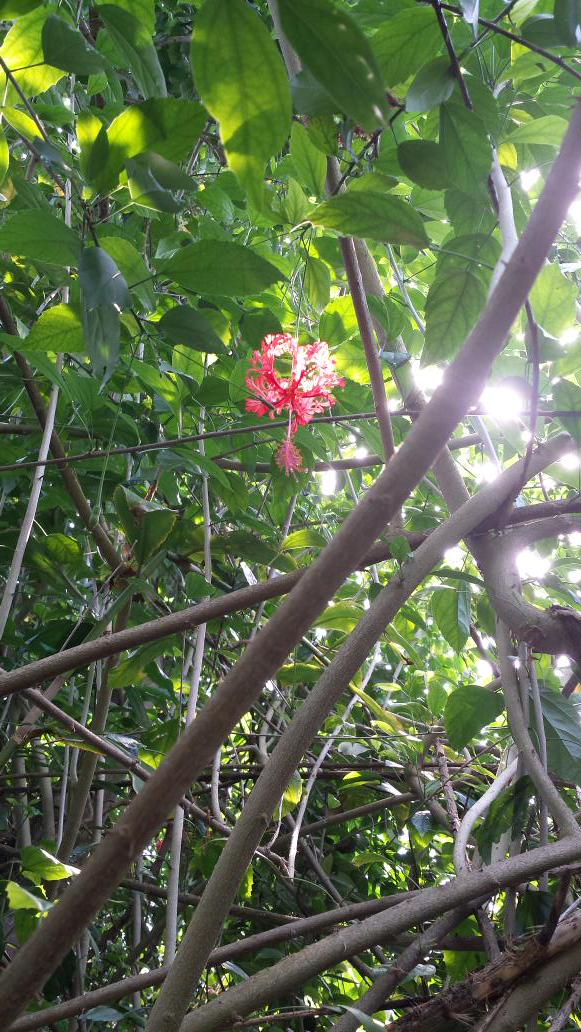 Tony Lamsdale tweet media