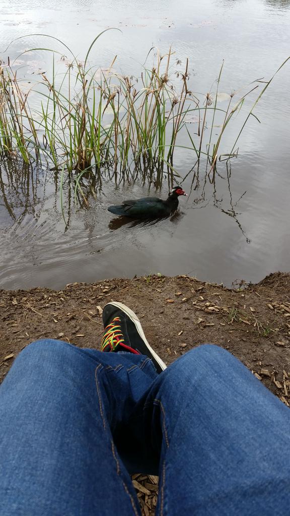 Simosayso's tweet photo. My favorite thing to do while high is exercise and explore. #whyweed #Dagga http://t.co/gfssX27JBx