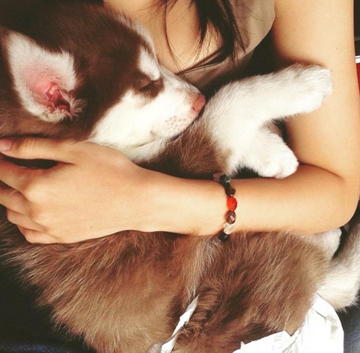 melasuda33's tweet photo. Ooowwe he is sleeping 😍 http://t.co/2xNMA7rSSD