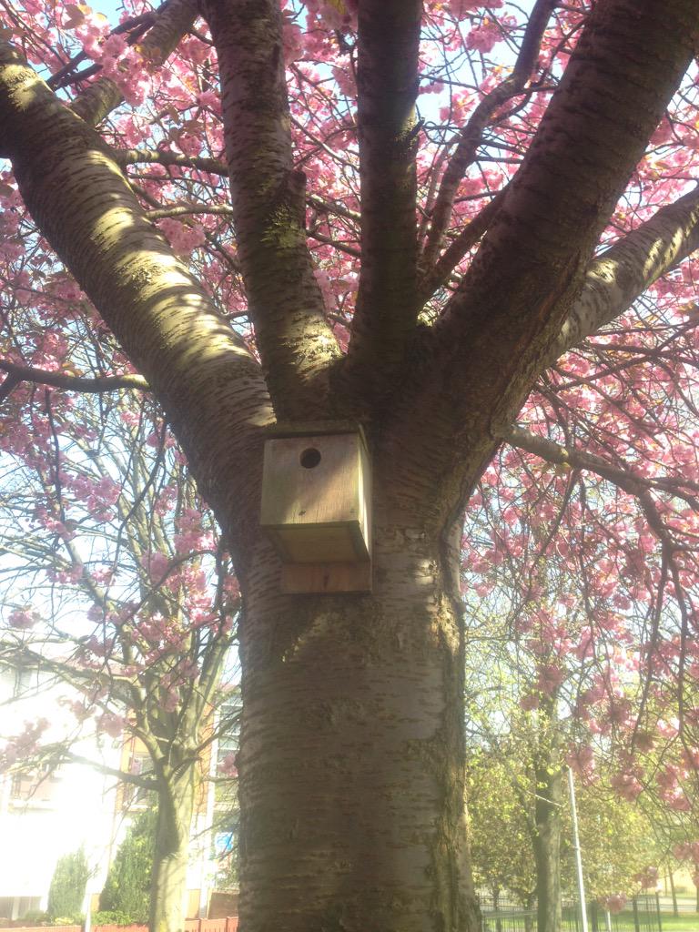 @BigLotteryFund <a href="/1mancunianway/">Mancunian Way</a> <a href="/LucyMPowell/">Lucy Powell MP</a> <a href="/ManCityCouncil/">Manchester City Council</a> <a href="/GardensGartside/">Gartside gardens</a> pls help The rocket park. #biodiversity