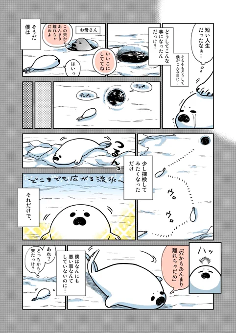 ▼第1話08 #恋するシロクマ
そもそもなんでこんなことになったかというと
ウロウロ つるんっ ハッ 