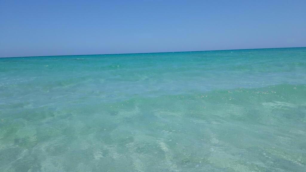 SalaktaPics's tweet photo. La mer de Salakta 😍😍😍😍 - Mahdia, Tunisia
.@PostBad216 http://t.co/C1ZeoHkLvw