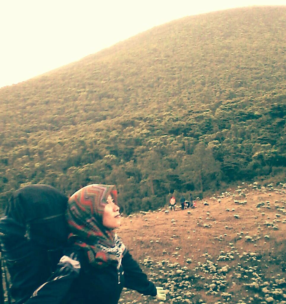 OctavyaSwift's tweet image. 