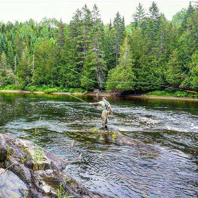 Vedavoo's tweet photo. Another sick shot from @maineflycastings and @bardcore86 - you guys are killing it! Cheers… http://t.co/ymVJLIL5Qk http://t.co/dcNZPON1VQ