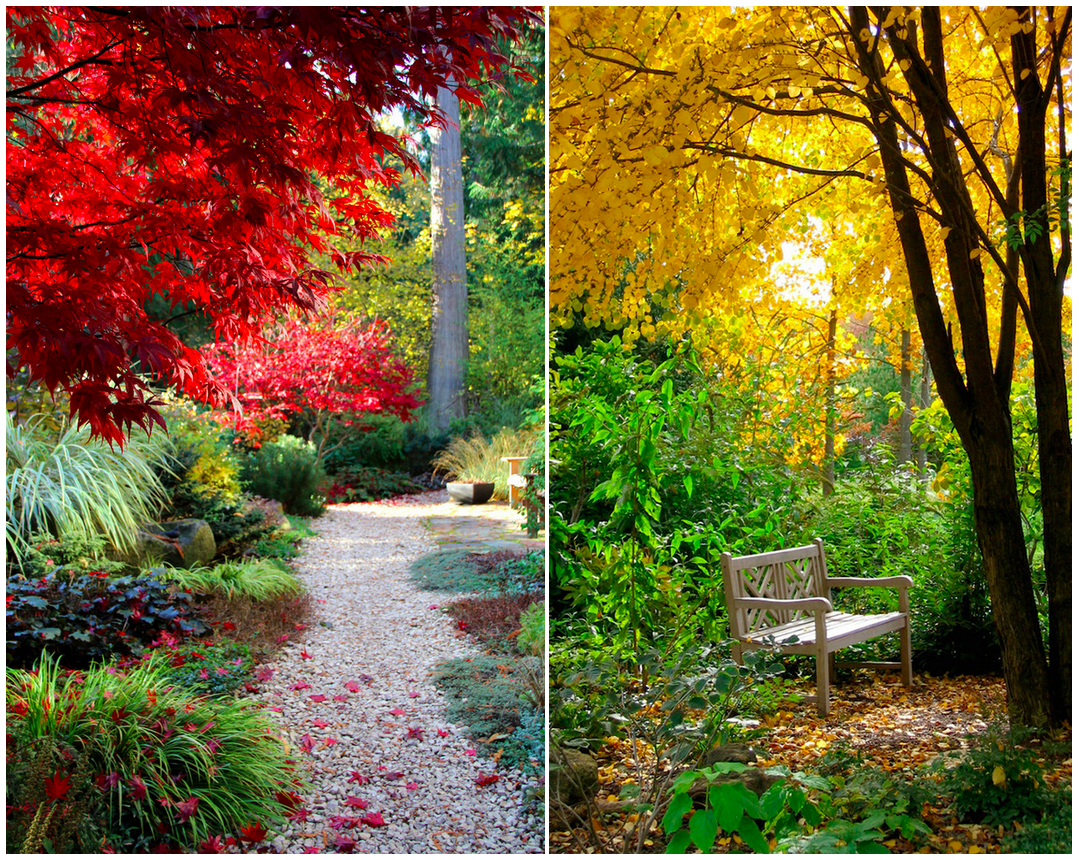 Vuoi un #giardino colorato e profumato nelle quattro stagioni? 
Leggi qui #consigli pratici: bit.ly/1h51Xbk