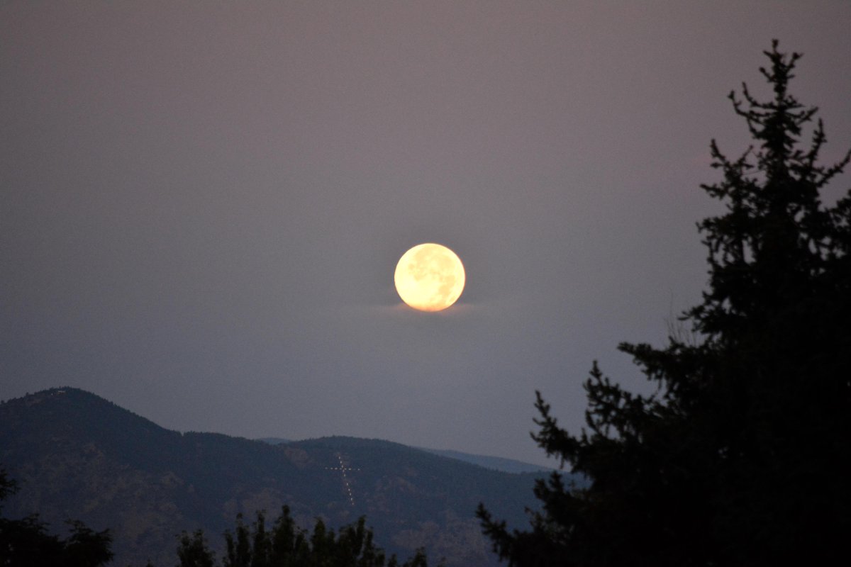 rsgarica1's tweet image. @Belen_DeLeon Good Morning here is a shot of the Blue Moon from the Bear Valley Neighborhood in SW Denver! #9w