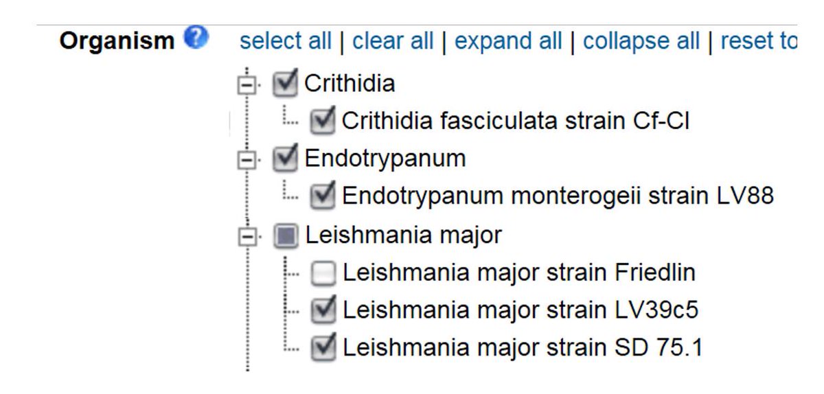 veupathdb's tweet image. #TriTrypDB now has annotation for these genomes.
 Up to 35 annotated genomes out of 40 total !!