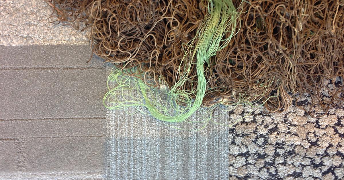 InterfaceInc's tweet photo. #Nature is not sustainable as much as it is #restorative &amp; resilient #BeautifulThinking http://t.co/6yOenLI0lQ http://t.co/q7q2ahRUKa