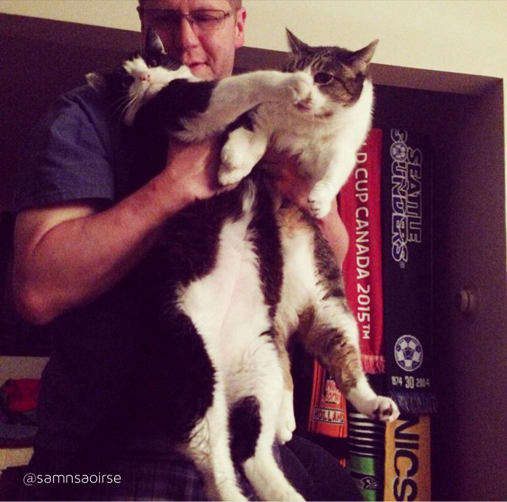 samnsaoirse's tweet photo. Dad gets scratched in 3...2...1... 🙀😸💥 #jellybellyfriday #dadputusdown #seriouslydad http://t.co/ItOSe3lqXa