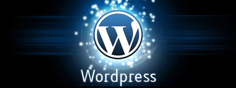 Wordpress 6.4 3