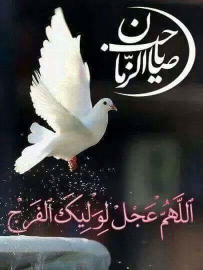 I_HUSSEIN313's tweet photo. ياغيرة الله بكت كل عين اين صدى صوتك في الخافقين... متى تنادي يالثار الحسين عن ضابع تطلب منه العنى🍃ياا فرج الله🌷 http://t.co/jwjoavDCMZ