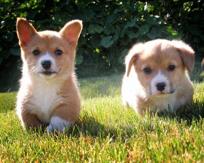 zPicture's tweet image. 