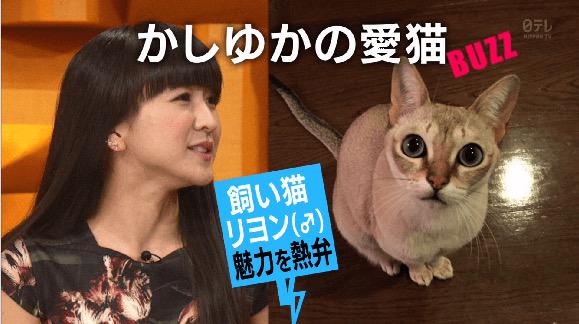 Perfumeネタbot ゆかちゃん 愛猫リヨンに引っ掻かれたのかな W Prfm Perfume Ksyk かしゆか リヨン Http T Co Niqcvqlyir