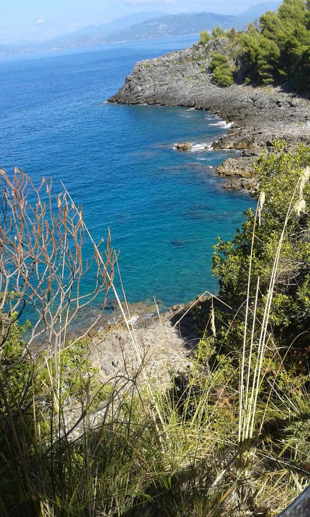 ancutolo63's tweet photo. Maratea# Cersuta# Summer# One of the Best Place of the Coast# a Lot of Sunbathing# Relaxing time# http://t.co/4ycKdXhwTu