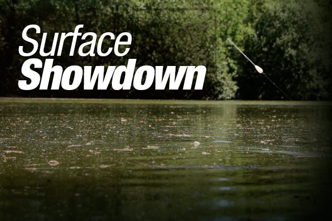 Team Korda tweet media