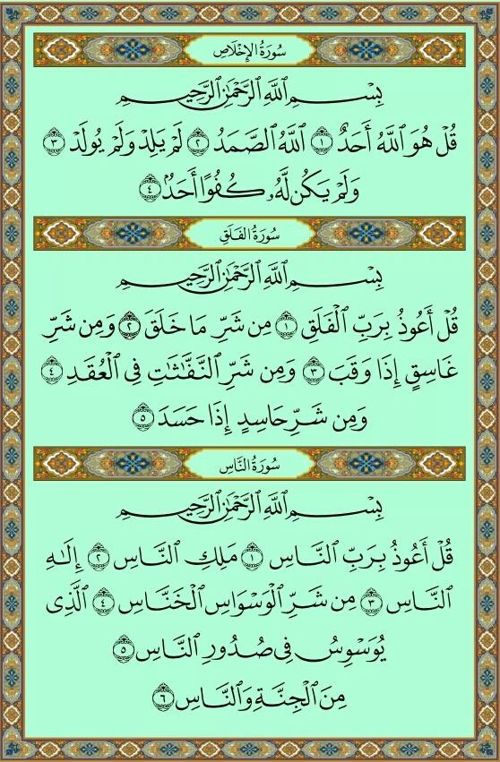 betaqaislamia tweet picture
