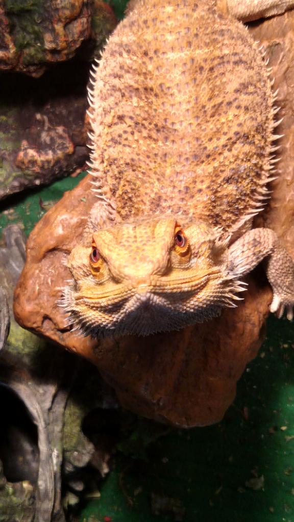 michaelcline5's tweet image. 