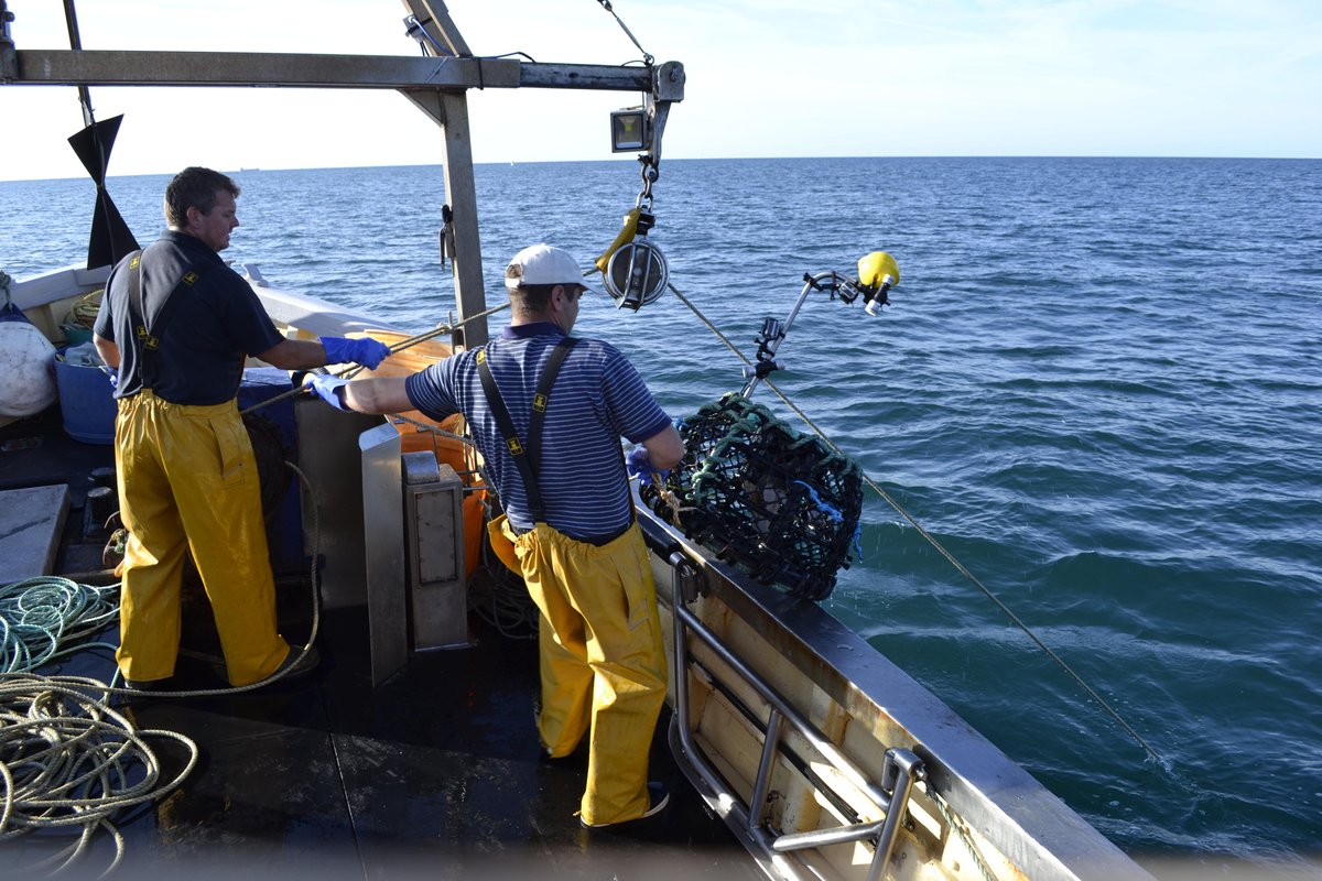 Lovely weather for a spot of #fisheries &amp; #environment #research! 
<a href="/sarahcgall/">Sarah Gall</a> <a href="/Alan_Steer99/">Alan Steer</a> <a href="/DevonSevernIFCA/">Devon & Severn IFCA</a> #Devon