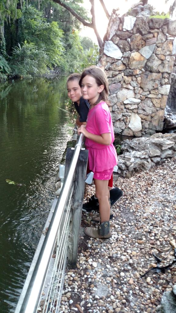 michaelcline5's tweet image. 