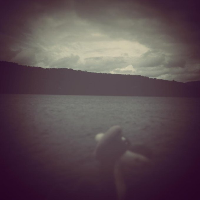 Nailed it. #nessiesighting 🐉📷 👌 #lochness #lochnessmonster #lochnessmonstersighting #scotland #cryptozoology<a href="/tag/nessiesighting"class="tags">#nessiesighting</a><a href="/tag/lochness"class="tags">#lochness</a><a href="/tag/lochnessmonster"class="tags">#lochnessmonster</a><a href="/tag/xfiles"class="tags"><span>#xfiles</span></a><a href="/tag/scotland"class="tags"><span>#scotland</span></a><a href="/tag/lochnessmonstersighting"class="tags"><span>#lochnessmonstersighting</span></a><a href="/tag/c"class="tags"><span>#c</span></a>