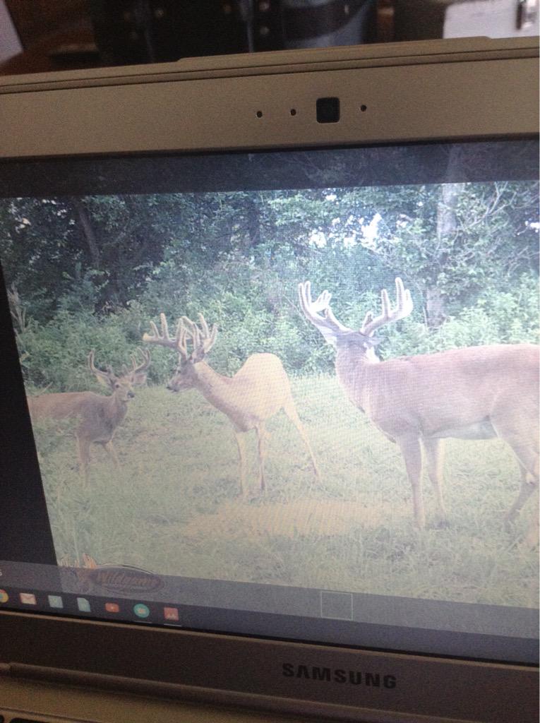 Antler Freaks tweet media