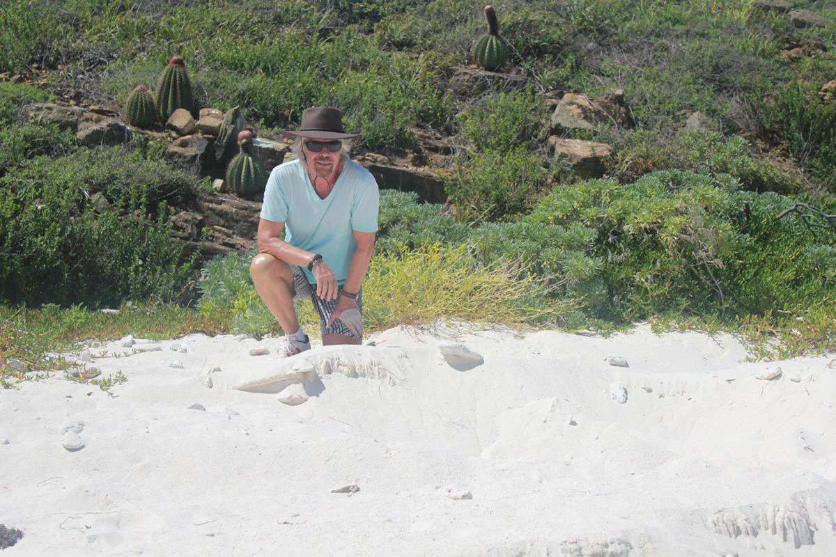 Why eco-tourism can be more profitable than hunting animals: virg.in/nit