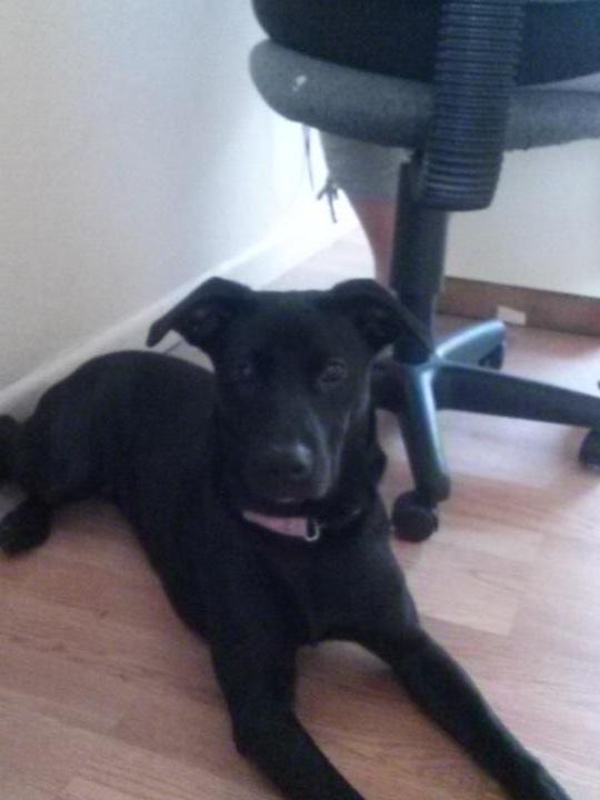 Billearly2's tweet image. 