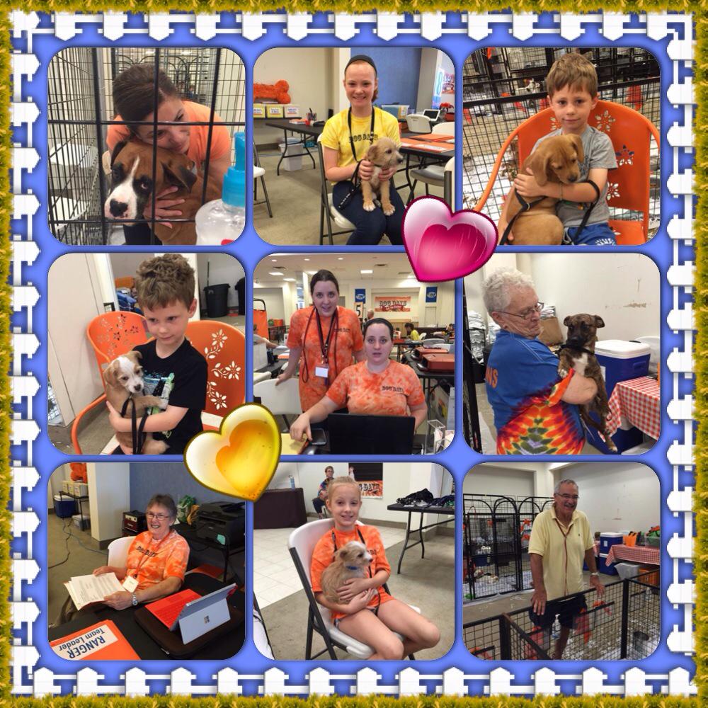 DogDaysAdoption's tweet photo. Who's Cuter: The pups or their volunteer huggers?! #GoDogDays http://t.co/gHIq7OK9Nf