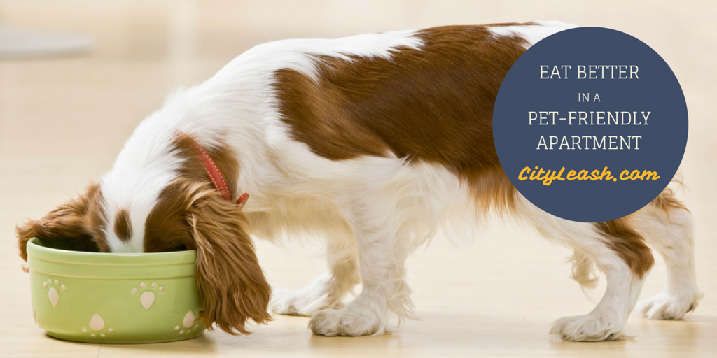CityLeash's tweet photo. Do Everything Better in a Pet-Friendly Apartment or House. Find one at http://t.co/Tf1x9vvIrf #ApartmentHunting http://t.co/nCgxHhRmQH