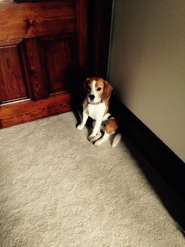 Nobody puts Ralphie in the corner.