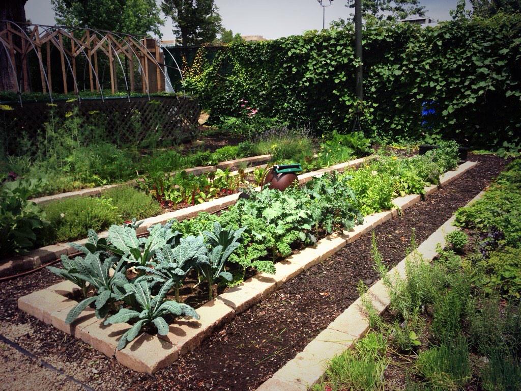 Jennifer Picciano tweet media