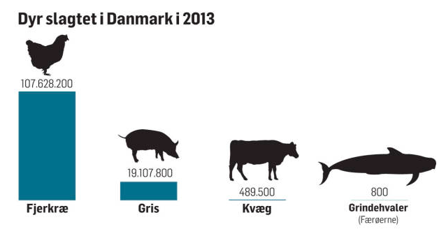 Datajensen's tweet image. Bare lidt perspektiv på hvaldebatten ...

pol.dk/2777417
#dataviz
@politiken 
@PeterJrgensen2