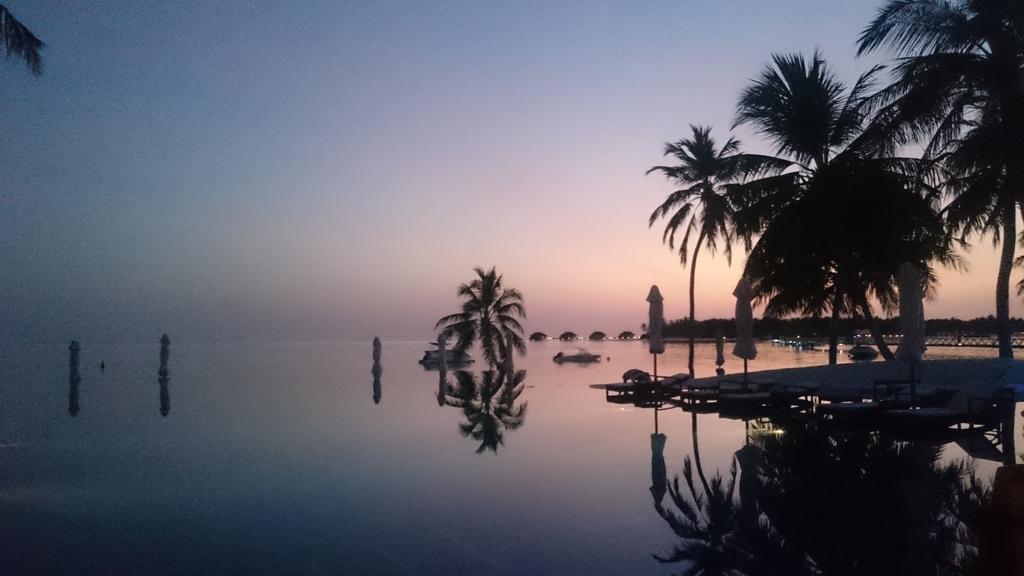 KiKkEJ's tweet photo. Reflecting palm 🌴 trees @ConradMaldives @ConradHotels #maldives #travel #wanderlust #travelpics #luxury #infinitypool http://t.co/QGaUd6M7QR