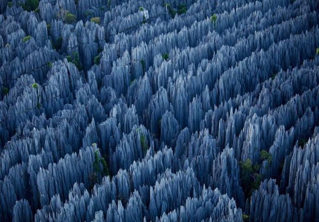 ChinaTopix's tweet photo. Stone Forest, Guilin, China. http://t.co/VsyU9G5glx