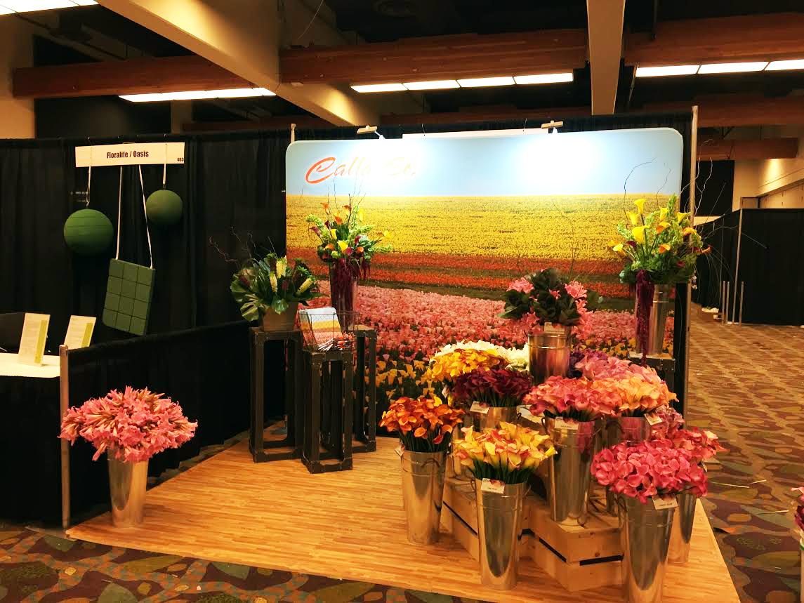 _CallaCo's tweet image. Check out our booth at Fun 'N Sun! Lots of calla lilies, amaryllis belladonna, and eucomis for your viewing! #cagrown