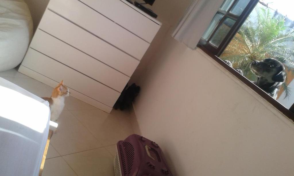 bruscostta's tweet photo. Gente, achei essa foto sensacional! Ahahahhaha http://t.co/3j0DlI0zYq