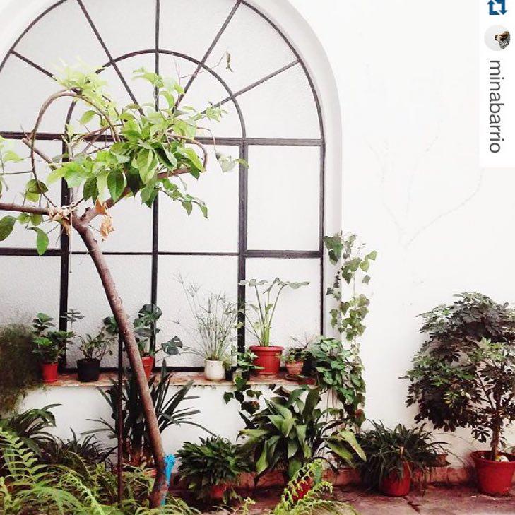 Instagramers Sevilla tweet media