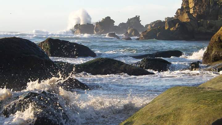 Enlace permanente de imagen incrustada