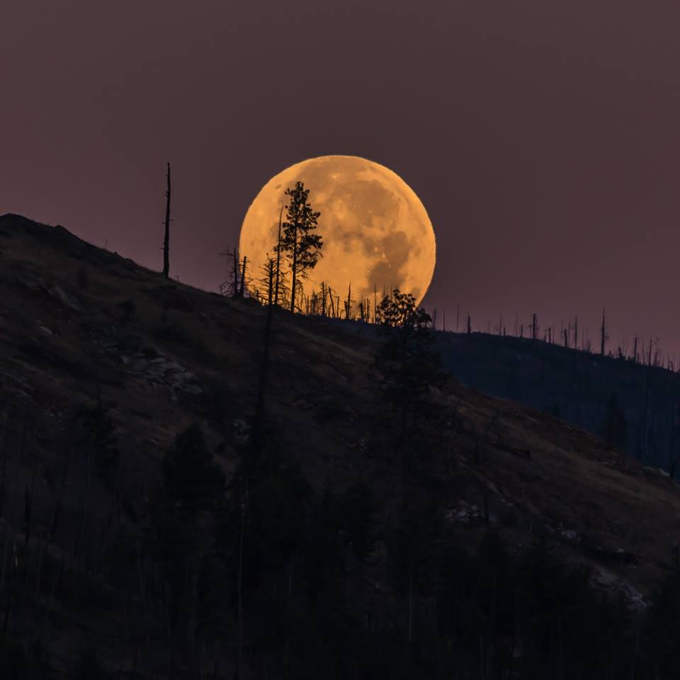 Kettle Valley tweet media