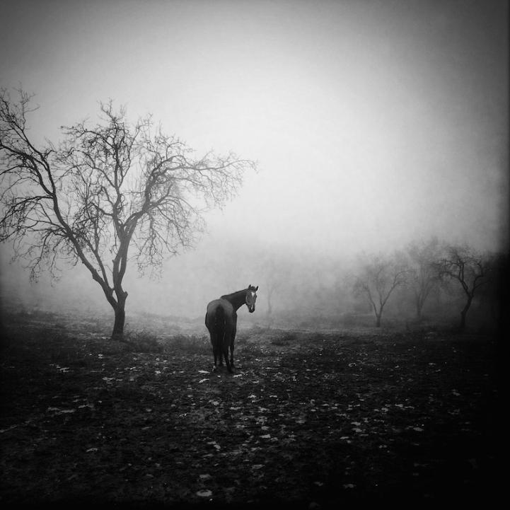 MyModernShop's tweet photo. Ekin Kucuk shoots beautiful monochromatic images of her travels and is our new shop artist! http://t.co/cuSi1wiqgI http://t.co/YAN25vem2D