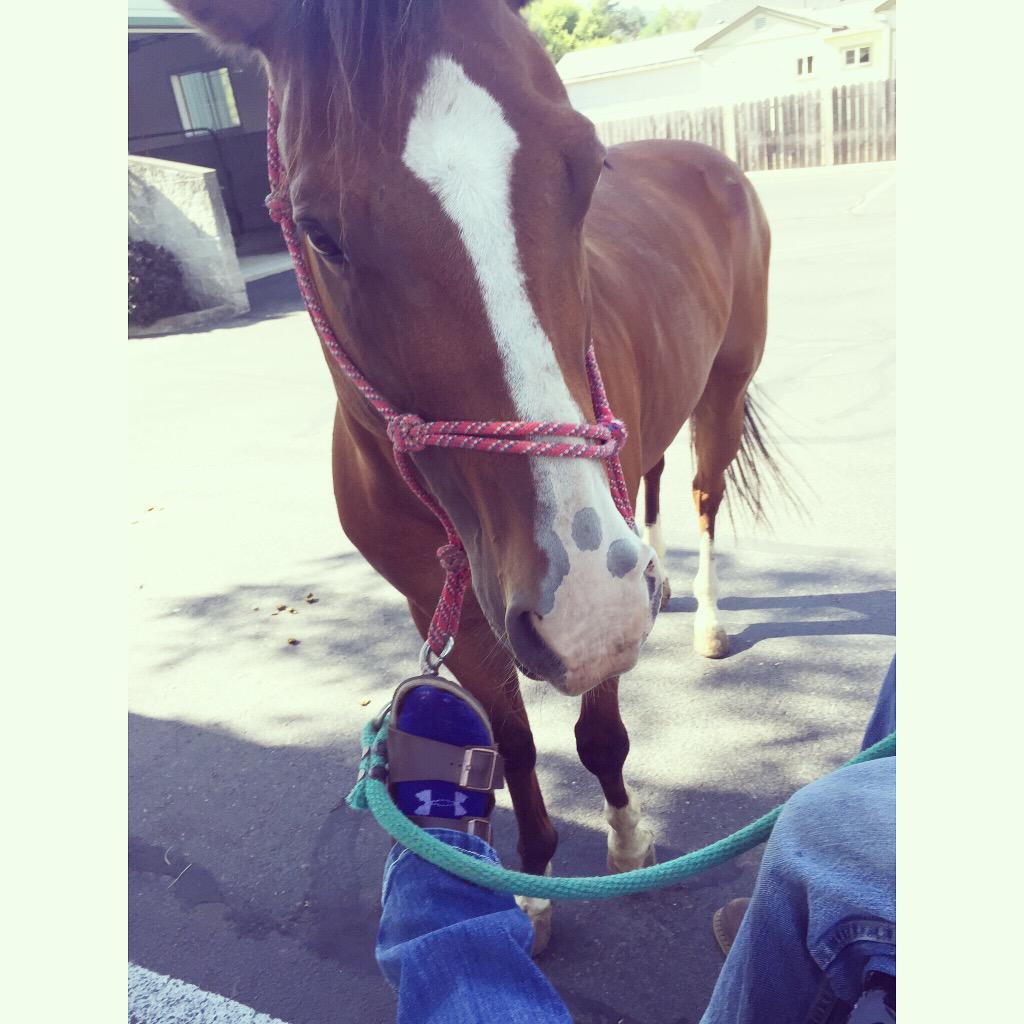 BlairRawlyn's tweet image. And we're at the vet.. Again😒 this horse needs to be wrapped in bubble wrap I swear.. #twotimes #inoneweek