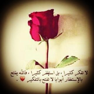instagram.com/vipbooks/   facebook.com/VIPBOOKS1   x.com/VIPBOOKS1  plus.google.com/10665545396573…