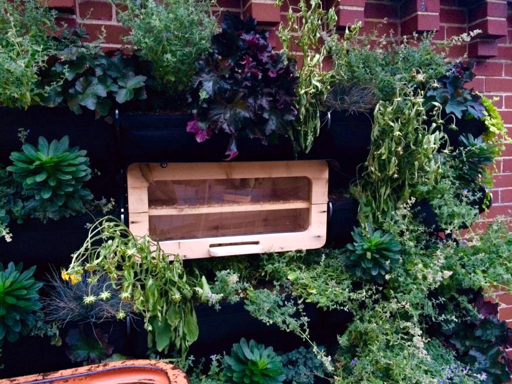 shiftmakes's tweet photo. We're adding pollinators to our Green Walls! Thanks to @GreenTowersUSA for this awesome #BEEcosystem 🐝🐝 #greendesign http://t.co/Ea69ewyTrQ
