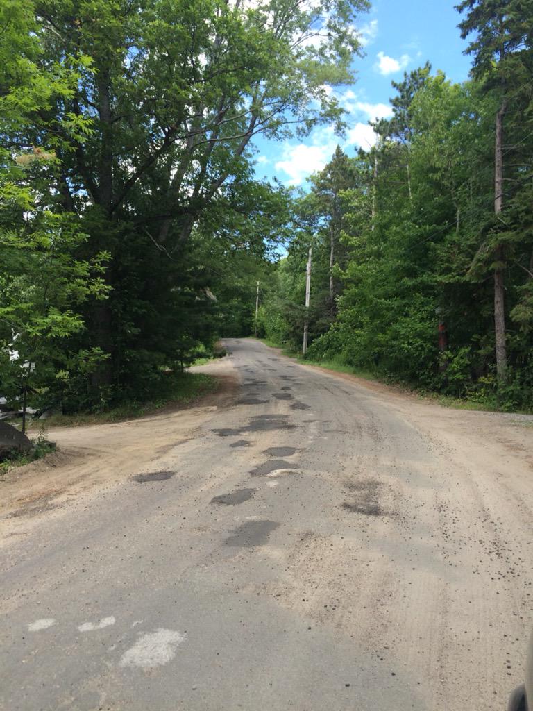 kari mortimer tweet media