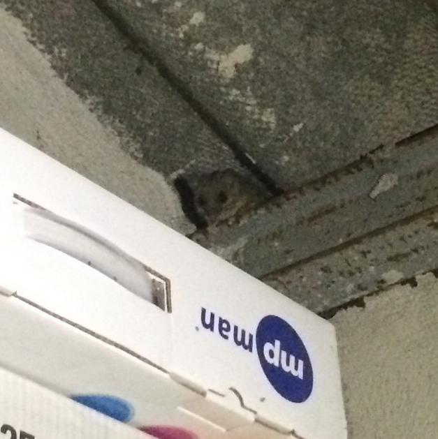 "Hello there, cutie! :) #Provence" <a href="/OlyaKurylenko/">Olga Kurylenko</a> is barely in Provence and already found a new friend!