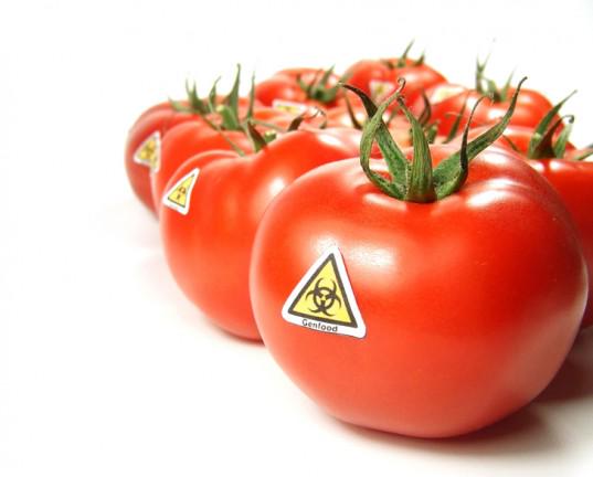 MFHappyFork's tweet photo. News : Is GMO Labeling Helping?
http://t.co/hGvoKBNTlK
#gmo #gmos #labeling #safety #food http://t.co/IBaNJlbPW2