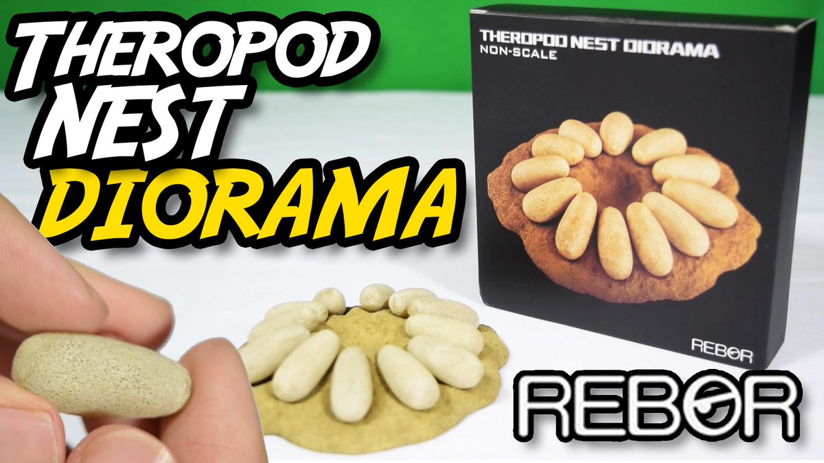 JurassicCollect's tweet photo. NEW VIDEO - Your very own Raptor's nest - in precise miniature! https://t.co/8ENEpR7AZg #reborstudio http://t.co/JMGHZP4PGT